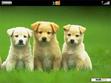 Download mobile theme Dogs