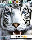 Download mobile theme tigre white