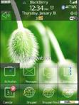 Download mobile theme Clean green theme