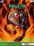 Download mobile theme tiger