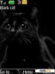 Download mobile theme Black cat