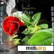 Download mobile theme Rose