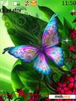 Download mobile theme Butterfly_01
