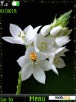 Download mobile theme White flowers, animation
