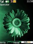 Download mobile theme Green Flower By ACAPELLA
