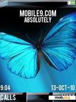 Download mobile theme Blue Batterfly