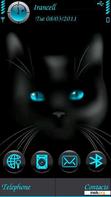 Download mobile theme blue eyes cat