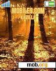 Download mobile theme Sun_ray_in_the_woods