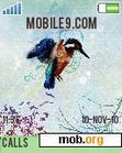 Download mobile theme Kingfisher(photoshopcreative)