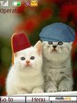 Download mobile theme Funny Cat Couple