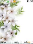 Download mobile theme White Flowers