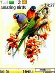 Download mobile theme AMAZING_BIRDS