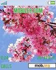 Download mobile theme Cherry Tree