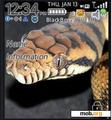Download mobile theme Reptiles