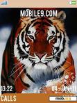 Download mobile theme Leopard