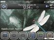 Download mobile theme Dragonfly