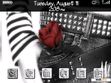 Download mobile theme This Is Punk HBD