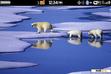 Download mobile theme Polar Bear