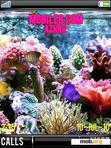 Download mobile theme Aquarium