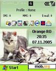 Download mobile theme Twins_2