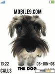 Download mobile theme Dog