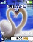 Download mobile theme Swan in love
