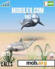 Download mobile theme Delfins