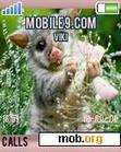Download mobile theme little mouse