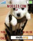 Download mobile theme Puppy