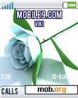 Download mobile theme blue roses