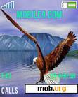Download mobile theme Eagle
