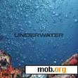 Download mobile theme Underwater