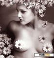 Download mobile theme Drew Barrymore