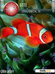 Download mobile theme colourful fish