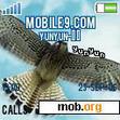 Download mobile theme Yunyun Eagle