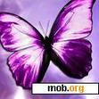 Download mobile theme butterfly46230i