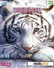 Download mobile theme Whit Tiger