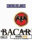 Download mobile theme bacardi breezer babe