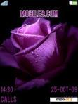 Download mobile theme Purple-Blue Rose