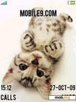 Download mobile theme Cute Baby Cats