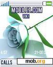 Download mobile theme Blue Roses