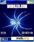 Download mobile theme Spider-bleu