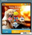 Download mobile theme crazy cat