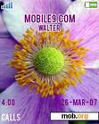 Download mobile theme Blossom