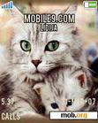Download mobile theme Cat Mother LOVE