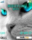 Download mobile theme Cat Cute