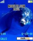 Download mobile theme DOLPHINS