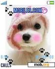 Download mobile theme puppy