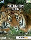 Download mobile theme INDIAN TIGER