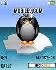 Download mobile theme ANIMATED PENGUIN